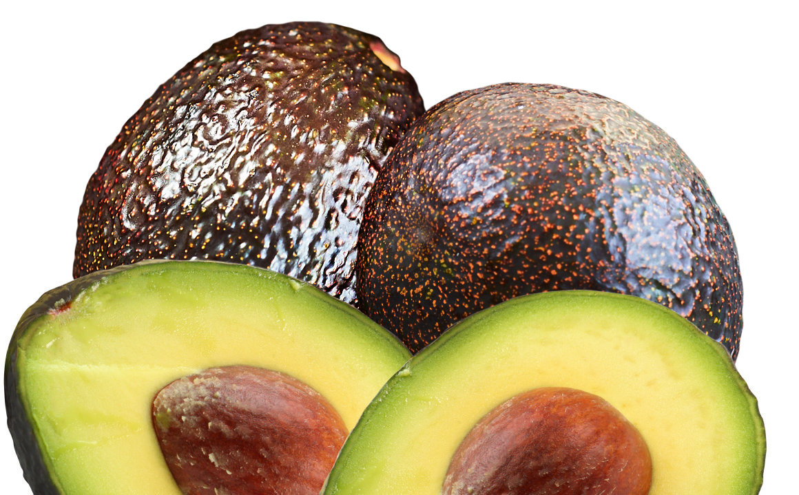 Growing GEM® Avocados | GEM® Avocado